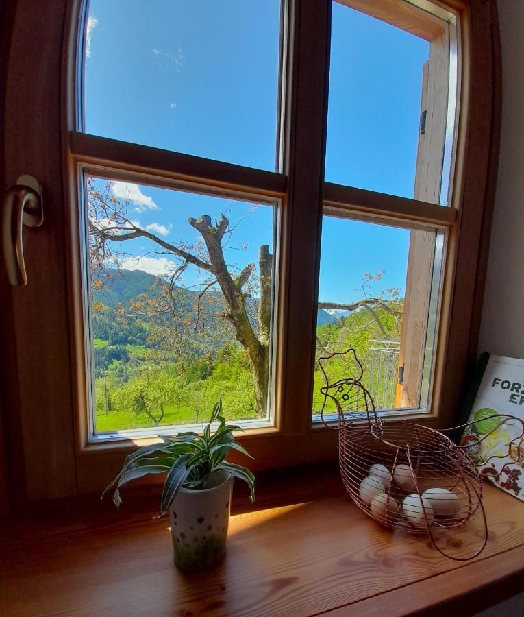 B&B Chalet Dolomiti Sant'Orsola Экстерьер фото