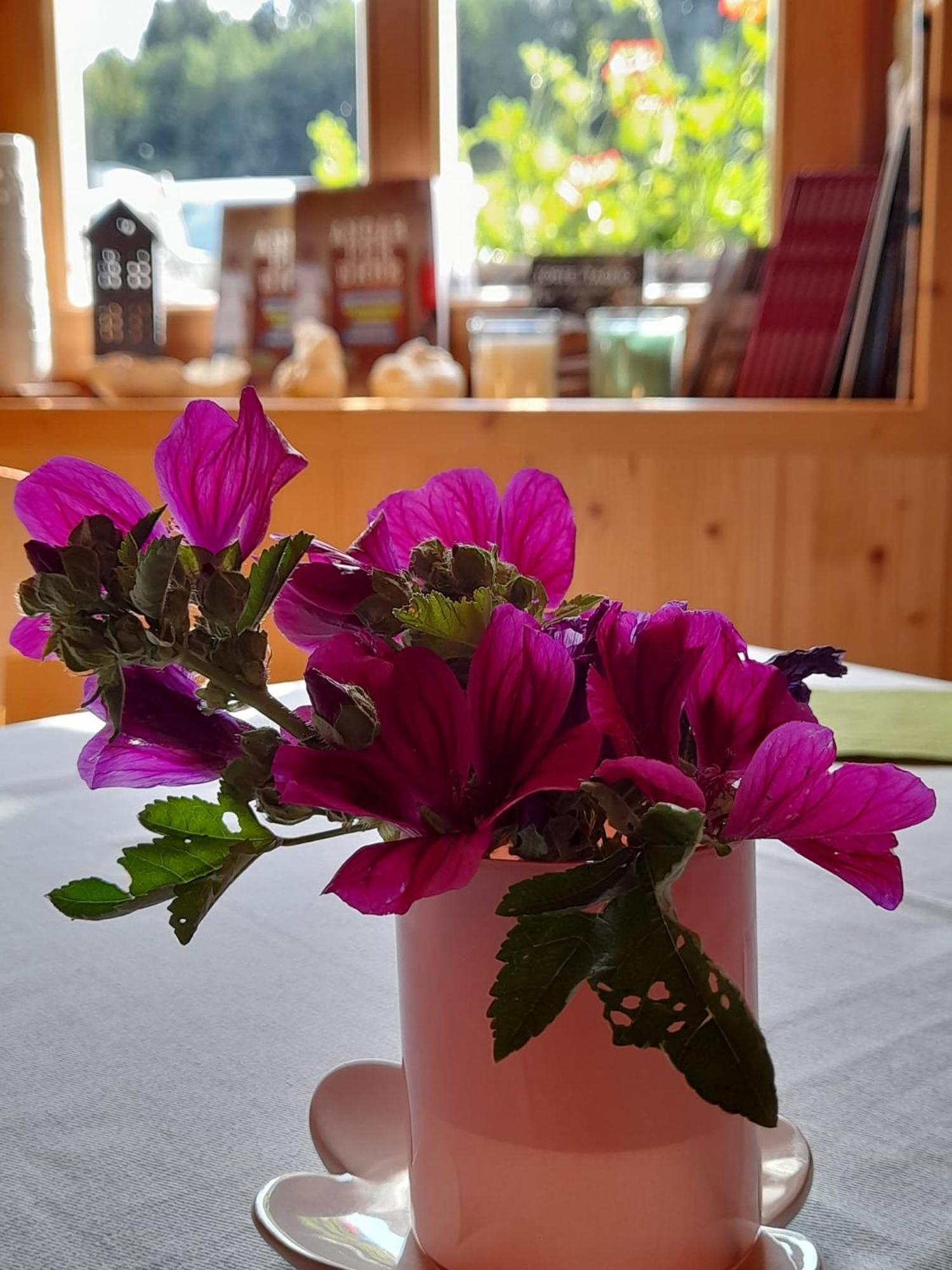 B&B Chalet Dolomiti Sant'Orsola Экстерьер фото